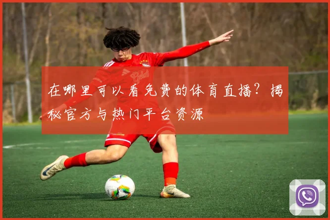 在哪里可以看免费的体育直播？揭秘官方与热门平台资源